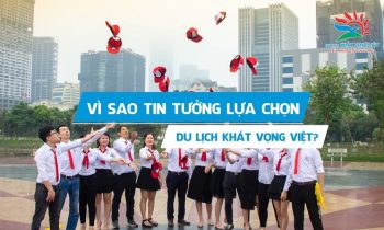 Công ty Du lịch Khát Vọng Việt – Kavo Travel có uy tín không? Câu trả lời từ Travel Review