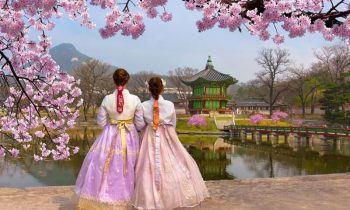 KAVO Travel - Đơn vị tổ chức tour du lịch Hàn Quốc uy tín