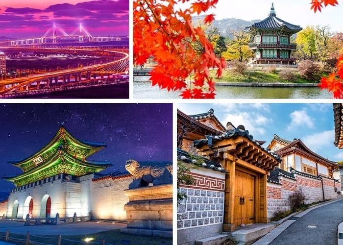 Các yếu tố cần xem xét khi chọn công ty du lịch Hàn Quốc