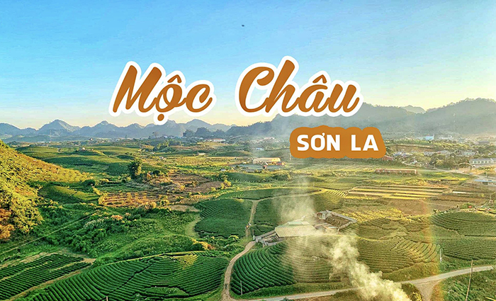 Mộc Châu đang trở thành một trong những điểm đến du lịch hấp dẫn ở miền Bắc Việt Nam, thu hút ngày càng nhiều du khách trong và ngoài nước.