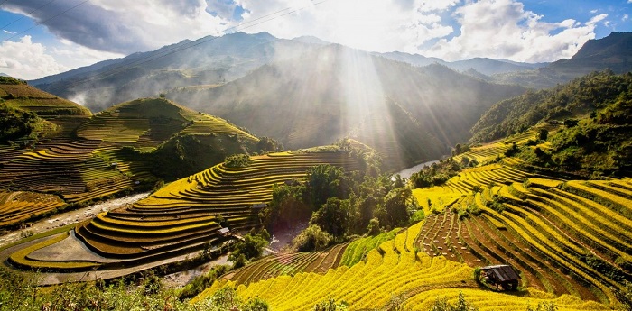 Mai Châu - "thiên đường" lúa chín đẹp nhất nhì vùng Tây Bắc