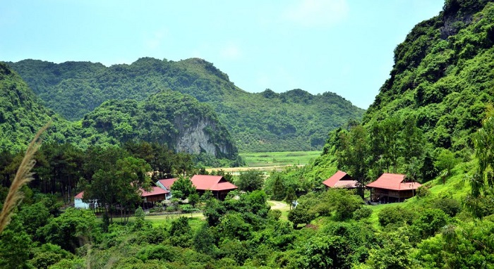 Cát Bà Eco Lodge toạ lạc giữa không gian xanh mát của khu dự trữ sinh quyềna