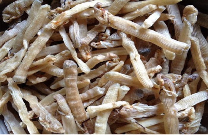 Sản phẩm trên thị trường có nhiều mức giá