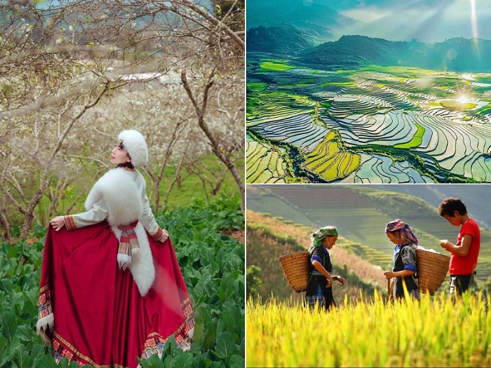 Lựa chọn công ty tổ chức du lịch Bắc Hà dựa vào nhiều yếu tố