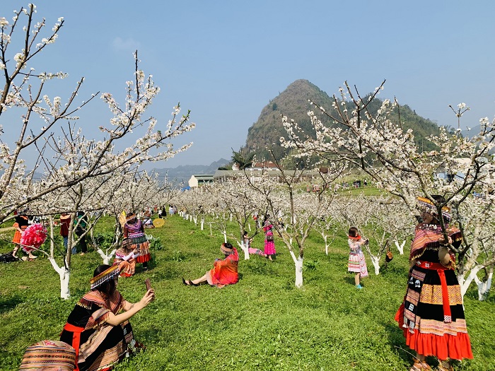 Bạn nên tránh đi du lịch Bắc Hà vào mùa cao điểm